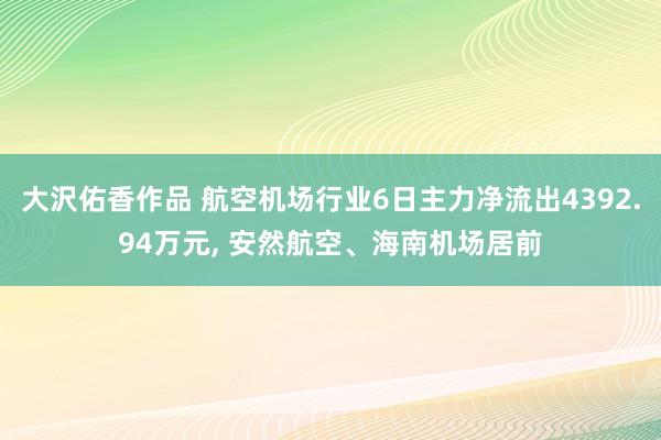 大沢佑香作品 航空机场行业6日主力净流出4392.94万元， 安然航空、海南机场居前