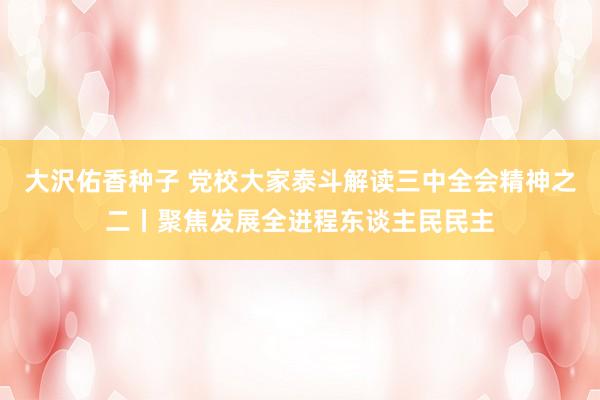 大沢佑香种子 党校大家泰斗解读三中全会精神之二丨聚焦发展全进程东谈主民民主