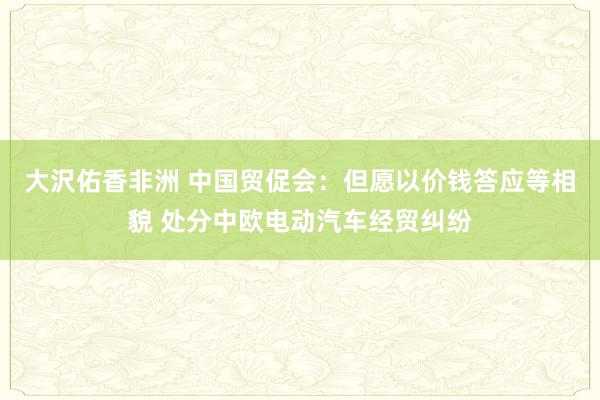 大沢佑香非洲 中国贸促会：但愿以价钱答应等相貌 处分中欧电动汽车经贸纠纷