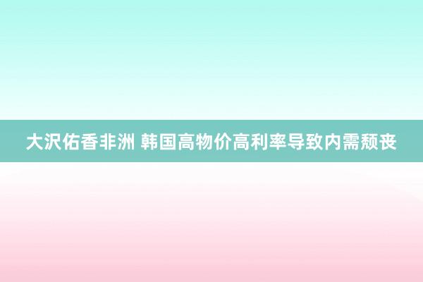 大沢佑香非洲 韩国高物价高利率导致内需颓丧