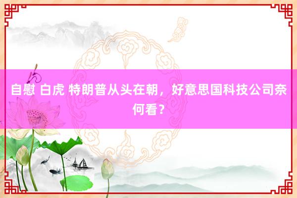 自慰 白虎 特朗普从头在朝，好意思国科技公司奈何看？