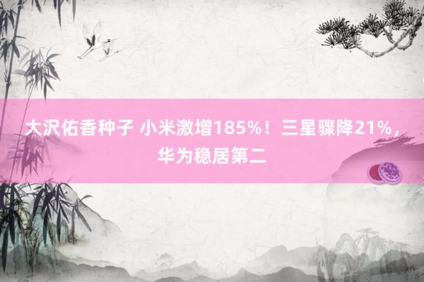 大沢佑香种子 小米激增185%！三星骤降21%，华为稳居第二