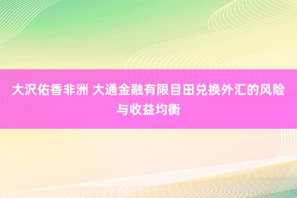 大沢佑香非洲 大通金融有限目田兑换外汇的风险与收益均衡