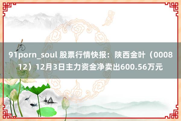 91porn_soul 股票行情快报：陕西金叶（000812）12月3日主力资金净卖出600.56万元