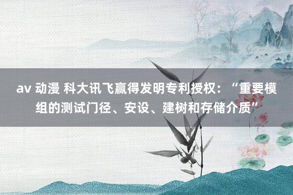 av 动漫 科大讯飞赢得发明专利授权：“重要模组的测试门径、安设、建树和存储介质”