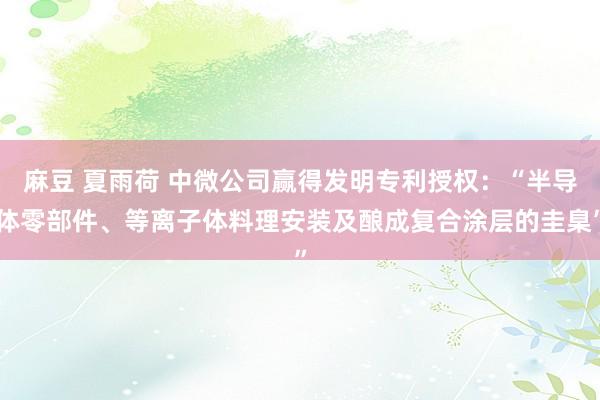 麻豆 夏雨荷 中微公司赢得发明专利授权：“半导体零部件、等离子体料理安装及酿成复合涂层的圭臬”