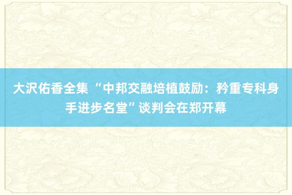 大沢佑香全集 “中邦交融培植鼓励：矜重专科身手进步名堂”谈判会在郑开幕