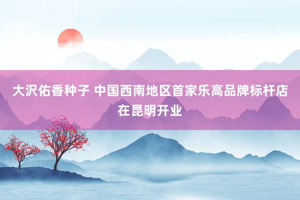 大沢佑香种子 中国西南地区首家乐高品牌标杆店在昆明开业