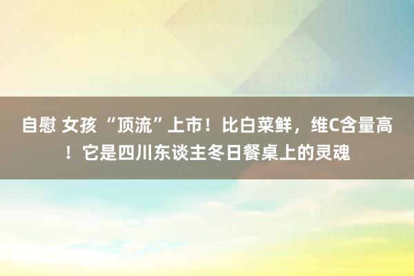 自慰 女孩 “顶流”上市！比白菜鲜，维C含量高！它是四川东谈主冬日餐桌上的灵魂