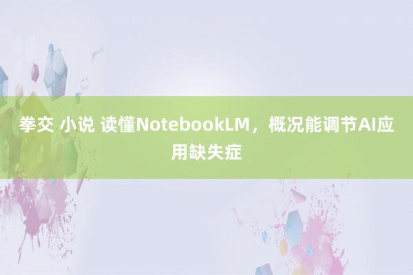 拳交 小说 读懂NotebookLM，概况能调节AI应用缺失症