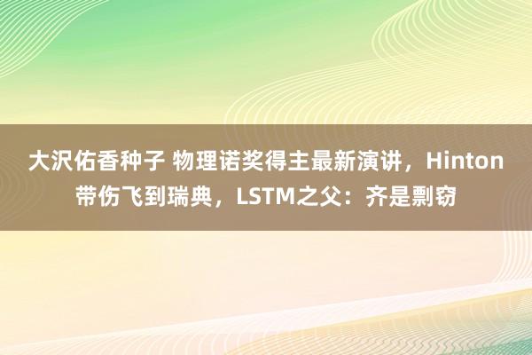 大沢佑香种子 物理诺奖得主最新演讲，Hinton带伤飞到瑞典，LSTM之父：齐是剽窃