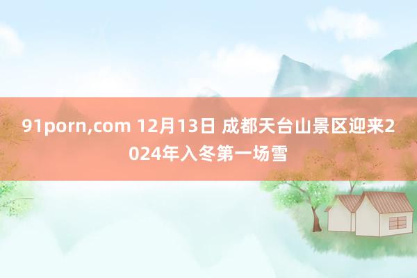 91porn，com 12月13日 成都天台山景区迎来2024年入冬第一场雪
