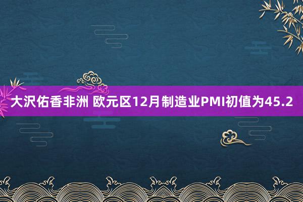 大沢佑香非洲 欧元区12月制造业PMI初值为45.2