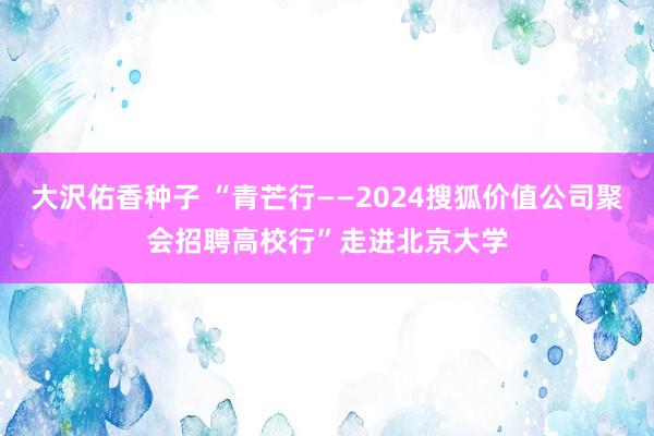 大沢佑香种子 “青芒行——2024搜狐价值公司聚会招聘高校行”走进北京大学
