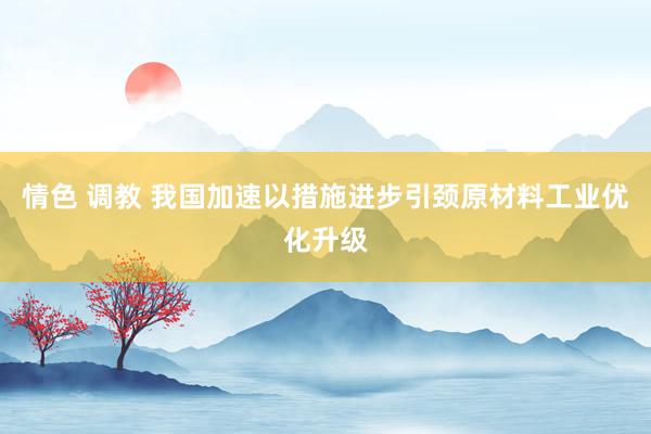 情色 调教 我国加速以措施进步引颈原材料工业优化升级