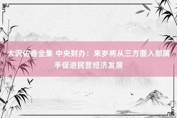 大沢佑香全集 中央财办：来岁将从三方面入部属手促进民营经济发展