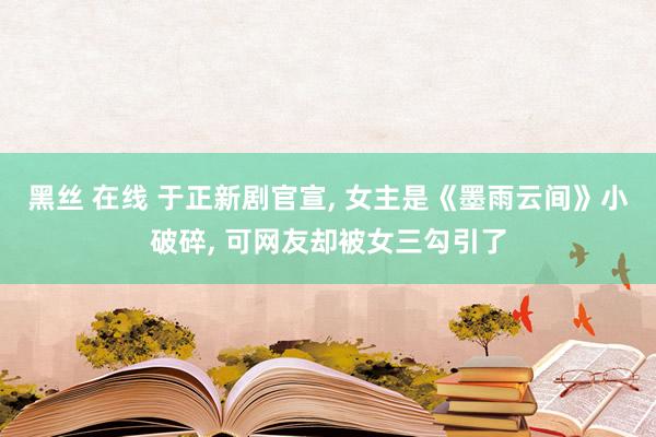 黑丝 在线 于正新剧官宣， 女主是《墨雨云间》小破碎， 可网友却被女三勾引了