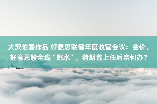 大沢佑香作品 好意思联储年度收官会议：金价、好意思股全线“跳水”，特朗普上任后奈何办？