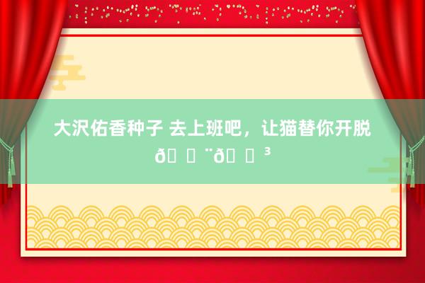 大沢佑香种子 去上班吧，让猫替你开脱🇨🇳