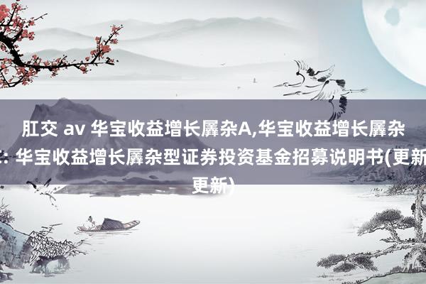 肛交 av 华宝收益增长羼杂A，华宝收益增长羼杂C: 华宝收益增长羼杂型证券投资基金招募说明书(更新)