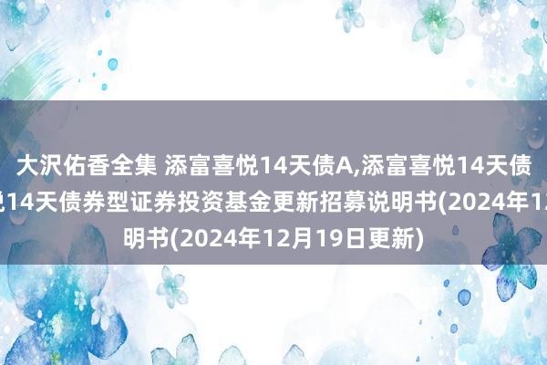 大沢佑香全集 添富喜悦14天债A，添富喜悦14天债B: 汇添富喜悦14天债券型证券投资基金更新招募说明书(2024年12月19日更新)