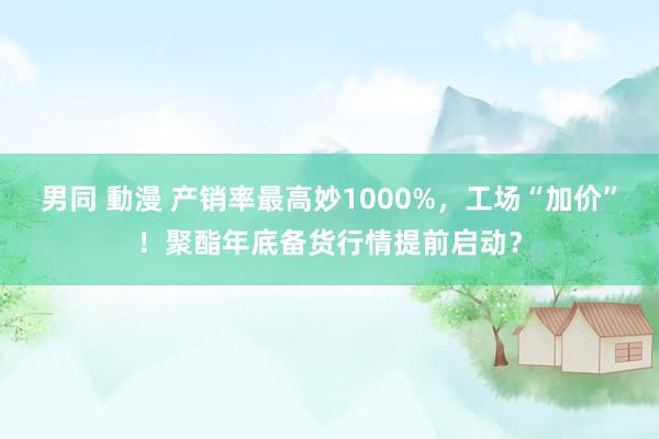 男同 動漫 产销率最高妙1000%，工场“加价”！聚酯年底备货行情提前启动？