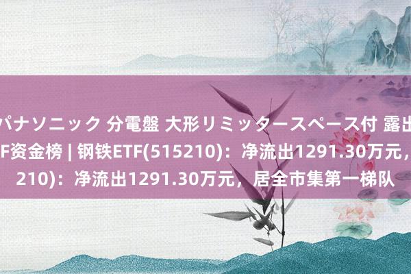 パナソニック 分電盤 大形リミッタースペース付 露出・半埋込両用形 ETF资金榜 | 钢铁ETF(515210)：净流出1291.30万元，居全市集第一梯队