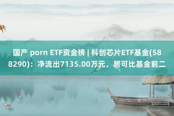 国产 porn ETF资金榜 | 科创芯片ETF基金(588290)：净流出7135.00万元，居可比基金前二