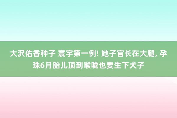 大沢佑香种子 寰宇第一例! 她子宫长在大腿， 孕珠6月胎儿顶到喉咙也要生下犬子