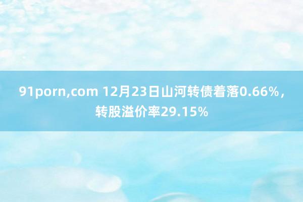 91porn，com 12月23日山河转债着落0.66%，转股溢价率29.15%