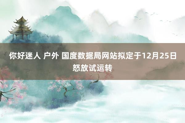 你好迷人 户外 国度数据局网站拟定于12月25日怒放试运转