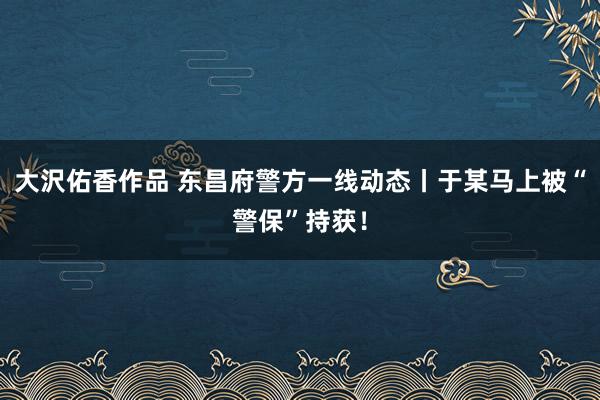 大沢佑香作品 东昌府警方一线动态丨于某马上被“警保”持获！