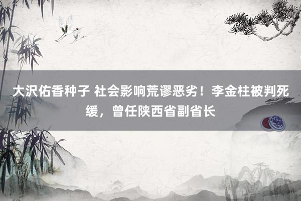 大沢佑香种子 社会影响荒谬恶劣！李金柱被判死缓，曾任陕西省副省长