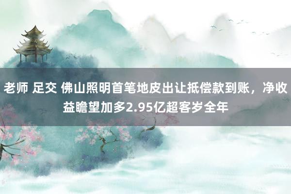 老师 足交 佛山照明首笔地皮出让抵偿款到账，净收益瞻望加多2.95亿超客岁全年