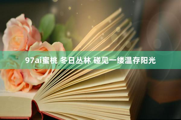97ai蜜桃 冬日丛林 碰见一缕温存阳光