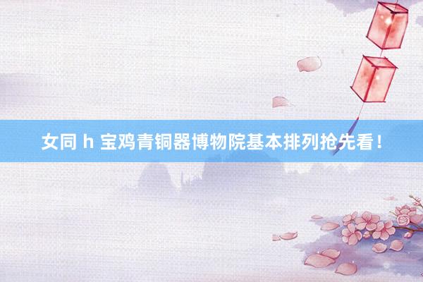 女同 h 宝鸡青铜器博物院基本排列抢先看！