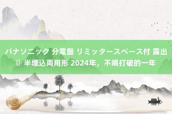 パナソニック 分電盤 リミッタースペース付 露出・半埋込両用形 2024年，不竭打破的一年