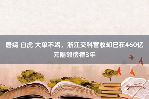 唐嫣 白虎 大单不竭，浙江交科营收却已在460亿元隔邻徬徨3年