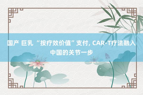 国产 巨乳 “按疗效价值”支付， CAR-T疗法融入中国的关节一步