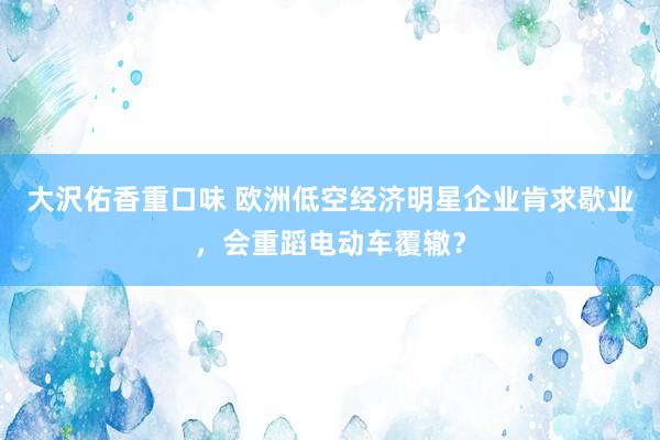 大沢佑香重口味 欧洲低空经济明星企业肯求歇业，会重蹈电动车覆辙？