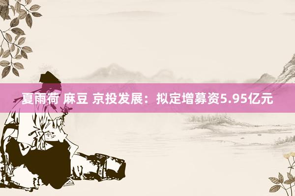 夏雨荷 麻豆 京投发展：拟定增募资5.95亿元
