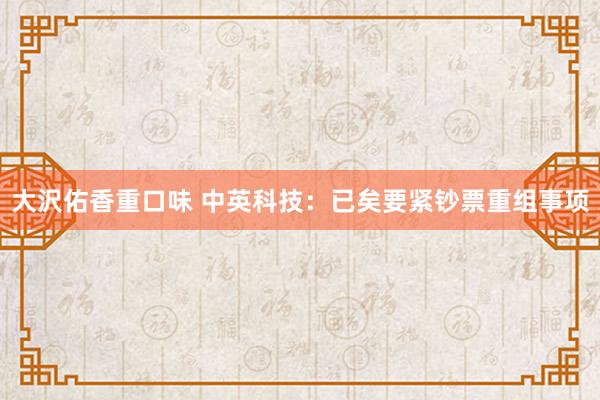 大沢佑香重口味 中英科技：已矣要紧钞票重组事项