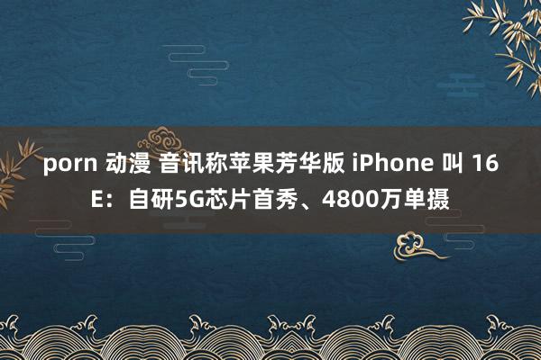 porn 动漫 音讯称苹果芳华版 iPhone 叫 16E：自研5G芯片首秀、4800万单摄