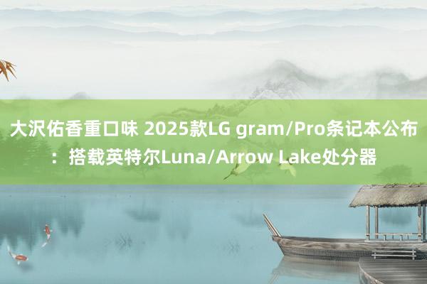 大沢佑香重口味 2025款LG gram/Pro条记本公布：搭载英特尔Luna/Arrow Lake处分器