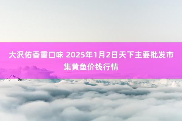 大沢佑香重口味 2025年1月2日天下主要批发市集黄鱼价钱行情