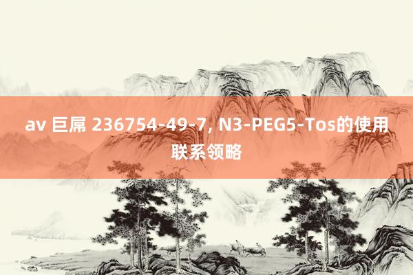 av 巨屌 236754-49-7， N3-PEG5-Tos的使用联系领略