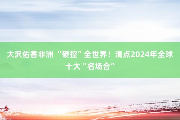 大沢佑香非洲 “硬控”全世界！清点2024年全球十大“名场合”