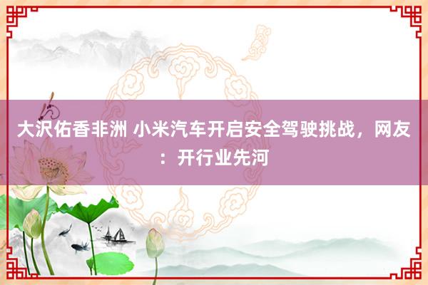 大沢佑香非洲 小米汽车开启安全驾驶挑战，网友：开行业先河