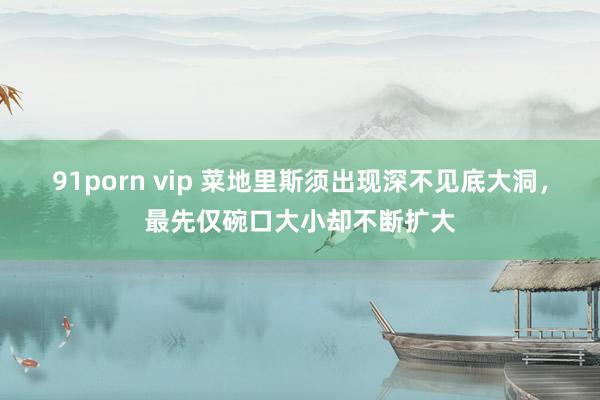 91porn vip 菜地里斯须出现深不见底大洞，最先仅碗口大小却不断扩大