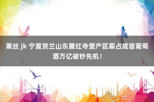 黑丝 jk 宁夏贺兰山东麓红寺堡产区霸占成皆葡萄酒万亿破钞先机！